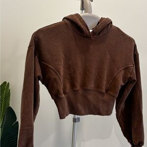 Aerie Chocolate Brown Cropped Hoodie